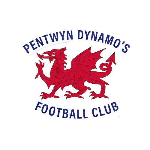 Pentwyn Dynamo's Under 11's